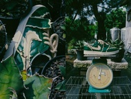 Nike Air JORDAN 1 Low Golf Triple White 龍舌蘭 改製(不含鞋)