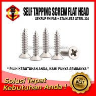 SS 304 Screw/ 14x2"fh Self Tapping Screw F+AB Screw (5 CM)