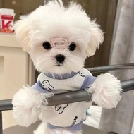 Dog Clothes Spring Autumn Winter Waffle Marzi Stedi Bixie Pet Clothes Cat Cute Breathable Thickeneda