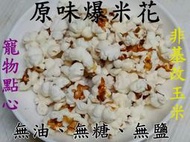 原味爆米花 寵物零食 無油.無糖.無鹽 非基改玉米 鼠飼料 黃金鼠 老鼠點心 蜜袋鼯 鸚鵡