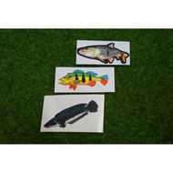 Sticker Ikan Peacock Bass Toman