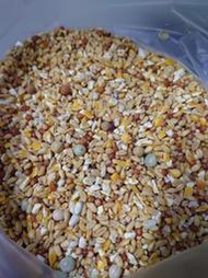 世界寵物百寶箱~公園餵鳥 飼料 鴿子雜糧 鴿料 鴿碎>鴿子,斑鳩,松鼠,倉鼠食用1公斤(1000公克)>5公斤以內可超取