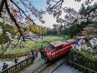 高鐵假期-嘉義和運租車二日自駕遊｜租用24/36小時