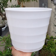 (LUSINAN) LOVENIA MADO UK 27 (12 pot) pot bunga plastik