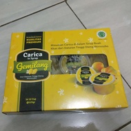 Paket isi 12 CUP SARI BUAH CARICA MINUMAN BUAH CARICA ASLI GULA DAN BUAH CARICA dieng