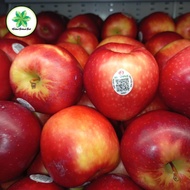 APEL NZ ROSE BUAH SEGAR 1 KG FRESH DENPASAR BALI