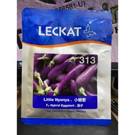 Benih Terung Mini LECKAT 313 LITTLE NYONYA Hibrid F1 (10gm)