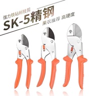 Flower Branch Shears Gardening Shears Pruning Shears Pruning Branch Shears Shears Shears Fruit Tree 