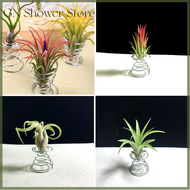 [GN Store] 6 Pcs Flower Pot Stainless Steel Air Plant Stand Container Tillandsia Holder