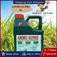 [ORIGINAL] 4L AMMO SUPRE (SAMA DGN RAINMORE 360 GAMMO XPERT) AMMO SUPER (Glyphosate Monoammonium 33.