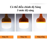 Bóng đèn Led 80W sạc tích điện Yến Quân YQ-802 có móc treo không dây thông minh 3 chế độ sáng
