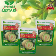 TM Gaiya F1 500 Biji Benih Melon Super Original