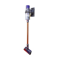 Dyson Cyclone V10 Fluffy Domestic Correct BG