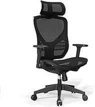Ergonomic Office Chair - Sedentary Comfort Boss Chair Breathable Mesh Executive Meeting Chairs with 3D Armrest,Headrest Support,Adjustable Lumbar Support/1657 (Color : Mesh, Size : Nylon)