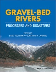Gravel-Bed Rivers Daizo Tsutsumi