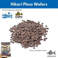 Hikari Pleco Wafers 500g | Sinking Pellets for Bottom Feeders | Rex Aquatics Exclusive