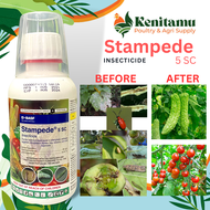 STAMPEDE 5 SC (INSECTICIDE) 250 ML