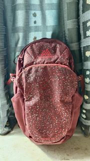 Gregory Backpack
