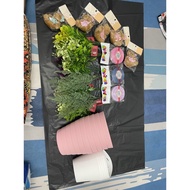 PS hanging rack ecoshop