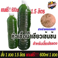 เทพไรแดง168 (1แถม1) หัวเชื้อ น้ำเขียว เข้มข้น ( น้ำเขียว คลอเรลล่า) ซื้อ1.5 ลิตร 1 ขวด แถมฟรี!! 600m
