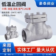 Stainless Steel Low Temperature Check Valve Check-In Valve Check-In Welding High Pressure Low Temper