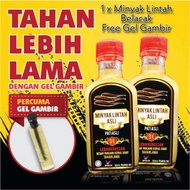 Minyak lintah Asli Original