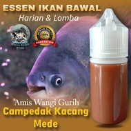 Essen Khusus Ikan Bawal Aroma Campedak Kacang Mede Kemasan 30ml Yang Paling Gacor Untuk Mancing Hari