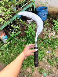 COD! arit padi jagung rumput khas Madura sabit cap bintang lima alat pemotong rumput bahan baja pir 