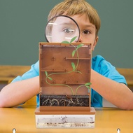 Reservedmart Grow-A-Maze Green Science Kit Kids Toy Early Learning Eductional STEAM Toys