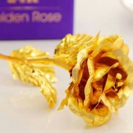 Gold-plated Roses Piece Meaningful Gifts