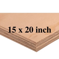 15x20 inches PRE CUT MARINE PLYWOOD