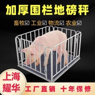 Scale Ground Pig Scale Scale Scale Pig Sheep 3 Ton Pig Scale Fence Beef Scale 4C3T
