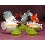 Tropical Fish Figure Figurine Collectibles Marmit