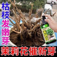 有機肥 花肥 開花肥 肥料 氮磷鉀 磷鉀肥 磷酸二氫鉀 茉莉花營養液防黃葉不開花生長緩慢催芽催花免稀釋養花專用肥料