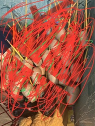 Mô hình chưng bầy 2-5in( ko đặt ở đây liên hệ shop biet thêm thông tin