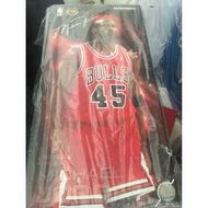 NEW Enterbay Michael Jordan MJ Air shoes Chicago Bulls 公牛隊 # 45 球衣波鞋 figure 米高佐敦