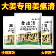 Ginger Plague Clear Ginger Plague Dedicated Ginger Plague Ginger Sterilizer Big Ginger Rotten Neck D