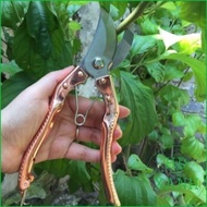 TOP pruning shears [BC shop] (Shop BC)