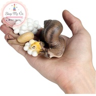 Snail Life Cycle Model - Snail Life Cycle