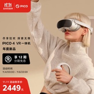 PICO 4 VR 一体机 8+128G 年度旗舰爆款新机 PC体感VR设备 沉浸体验 智能眼镜 VR眼镜