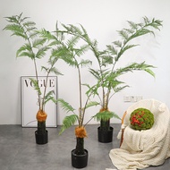 Green Plant Potted Zen Landscaping Decoration Indoor Floor Decoration 3.29 FANGZHEN