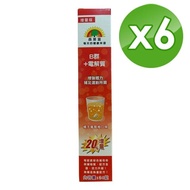 【SUNLIFE森萊富】 德國原裝SUNLIFE 森萊富 B群+電解質 發泡錠24錠增量版(6入優惠組)