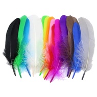 10-pack Goose Feather - Large Goose Feather - Chicken Feather - Duck Feather