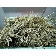 Timothy premium hay