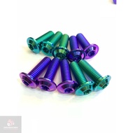 High Quality Titanium Gr5 thin 8mm screws, 8mm Titanium screws mounted on Sirus Tarus Ex135. DoChoiX