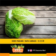 FYT GROCERIES - VEGETABLES - KUBIS PANJANG CINA/ CHINESE CABBAGE/ 黄芽白 大白菜 (1kg above)