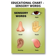 Laminated Poster / Chart, SENSORY WORDS Chart, A4 Size