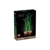 LEGO 10344 Lucky Bamboo