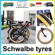 SG Schwalbe One  16inch Tyre 35-349 Foldable Bicycle 16 inch Tire 1.35 for 3Sixty Pikes Bike 16