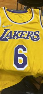 NBA 75th anniversary Icon Edition Lebron James Lakers jersey